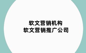 软文营销机构 软文营销推广公司